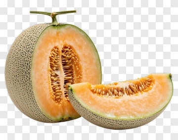 Fresh Cantaloupe Melon With Slice PNG