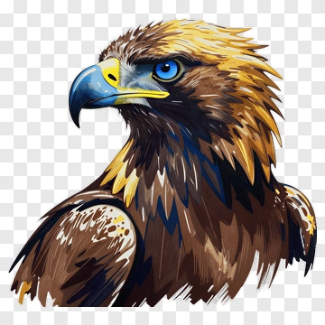 Colorful Golden Eagle Portrait PNG