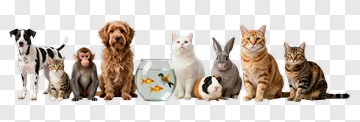 Group Of Pets Including Dogs, Cats, And A Fish Bowl PNG