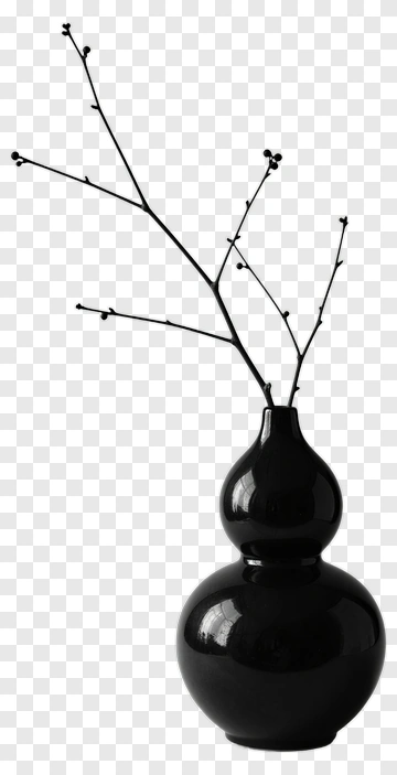 Black Vase With Branches PNG