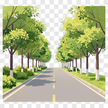 Tree-Lined Road In A Park PNG