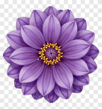 Purple Flower With Yellow Center PNG