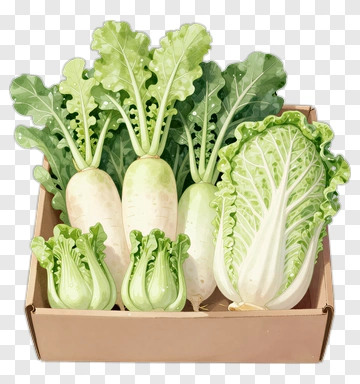 Fresh Vegetables In A Box PNG
