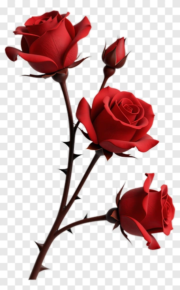 Red Roses With Thorns PNG