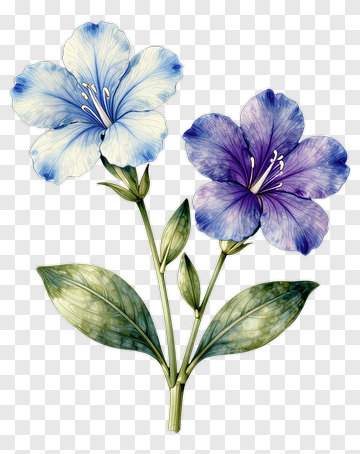 Colorful Flower Bouquet PNG