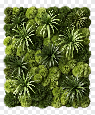 Lush Greenery Wall Art PNG