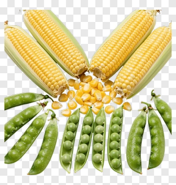 Fresh Corn And Green Peas Arrangement PNG