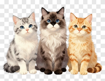 Three Cats Sitting Together PNG