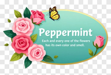 Pink Roses With Butterfly And Peppermint Text PNG