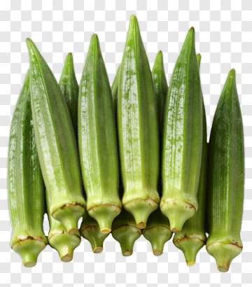 Fresh Okra Vegetable PNG