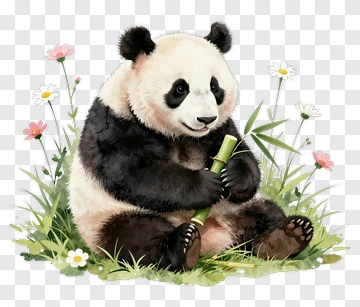 Cute Panda Eating Bamboo PNG