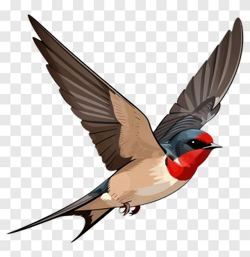 Bird In Flight PNG