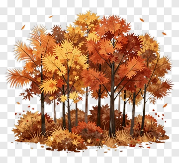 Autumn Forest With Colorful Leaves PNG