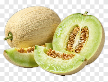 Fresh Green Melon Slices PNG