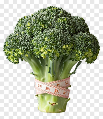 Fresh Broccoli With Measuring Tape PNG