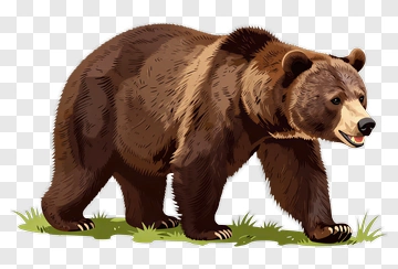 Brown Bear Walking In A Natural Setting PNG