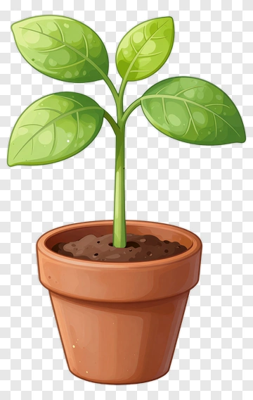 Colorful Plant In A Pot PNG