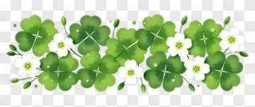 Green Clover And White Flower Arrangement PNG