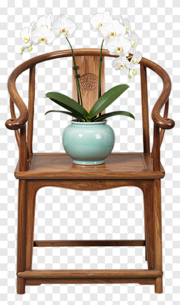 Wooden Chair With Orchid Plant PNG