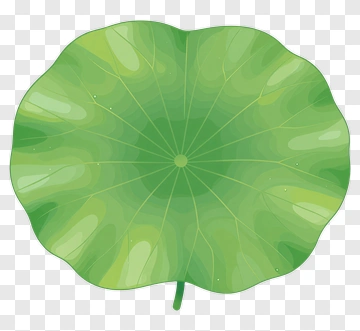 Green Leaf PNG