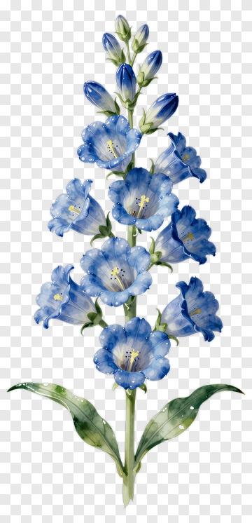 Blue Flower With Green Leaves PNG