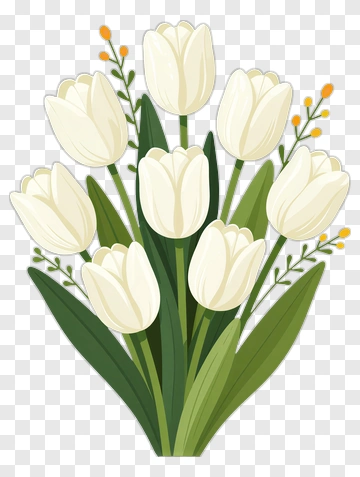 Bouquet Of White Tulips PNG