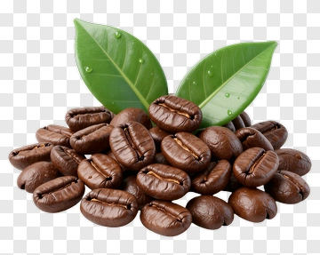 Coffee Beans With Green Leaves PNG