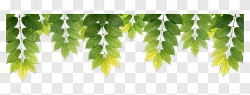 Green Leaves Hanging Decoration PNG