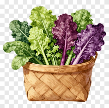 Colorful Leafy Greens In A Basket PNG