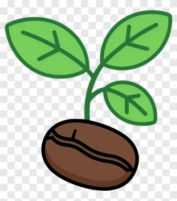 Cartoon Seedling Growing From Coffee Bean PNG