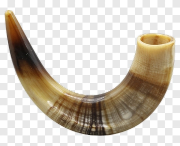 Horn Object PNG