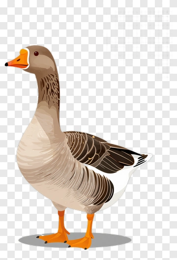 Cartoon Goose Standing PNG