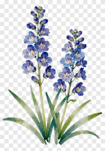 Watercolor Blue Flower Arrangement PNG