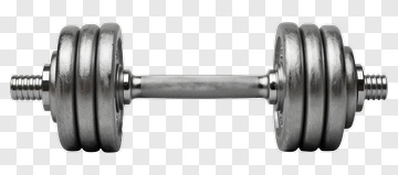 Dumbbell With Weight Plates PNG