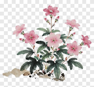 Watercolor Pink Flower Bouquet PNG