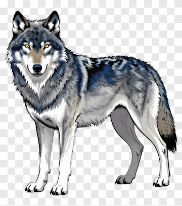 Cartoon Wolf PNG