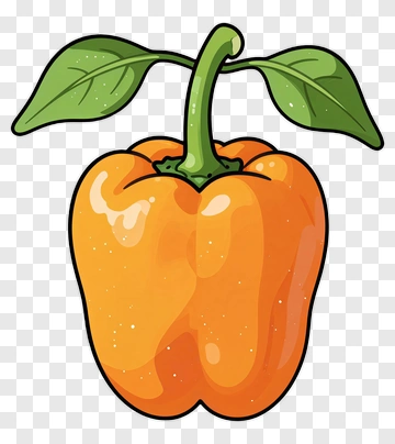 Cartoon Orange Bell Pepper PNG