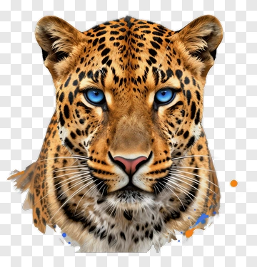 Realistic Leopard Face PNG