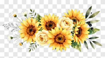 Sunflower And Rose Floral Arrangement PNG