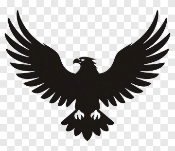 Black Eagle Silhouette PNG
