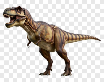 3D Tyrannosaurus Rex Dinosaur Model PNG