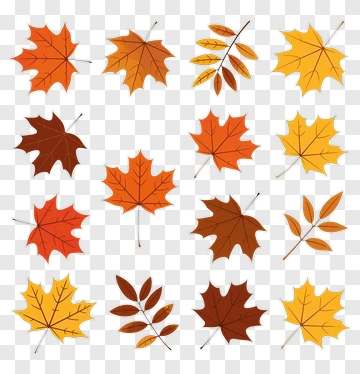Colorful Autumn Leaves Collection PNG