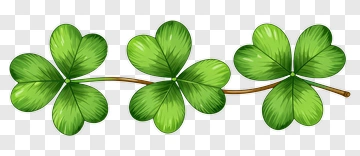 Green Shamrock Leaves PNG