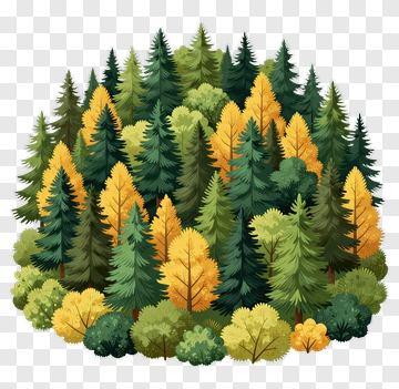 Colorful Forest With Evergreen And Deciduous Trees PNG