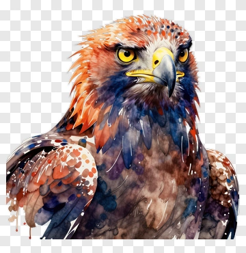 Watercolor Eagle Portrait PNG