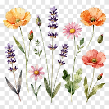 Watercolor Flower Bouquet PNG