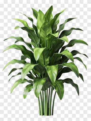 Lush Green Potted Plant PNG