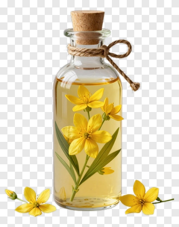 Glass Bottle With Yellow Flowers In Oil PNG