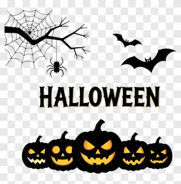 Halloween Pumpkins With Spider And Bats PNG