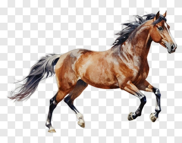 Brown Horse Running PNG